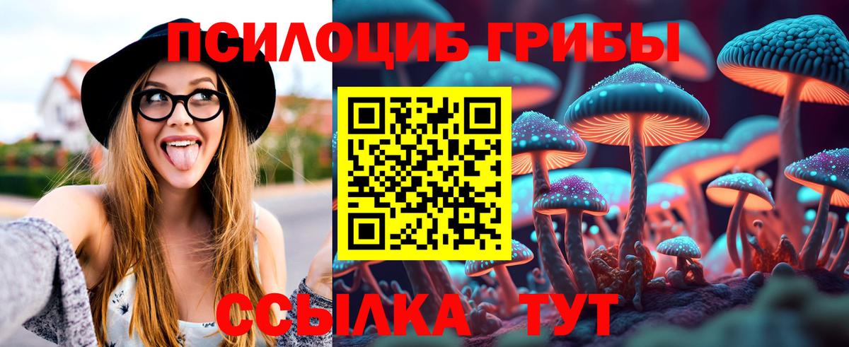 Галлюциногенные грибы Cubensis  Вход с VPN  Новосибирск 